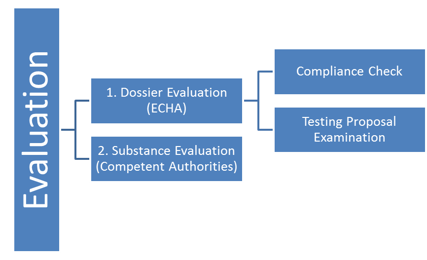 Evaluation Flow Chart